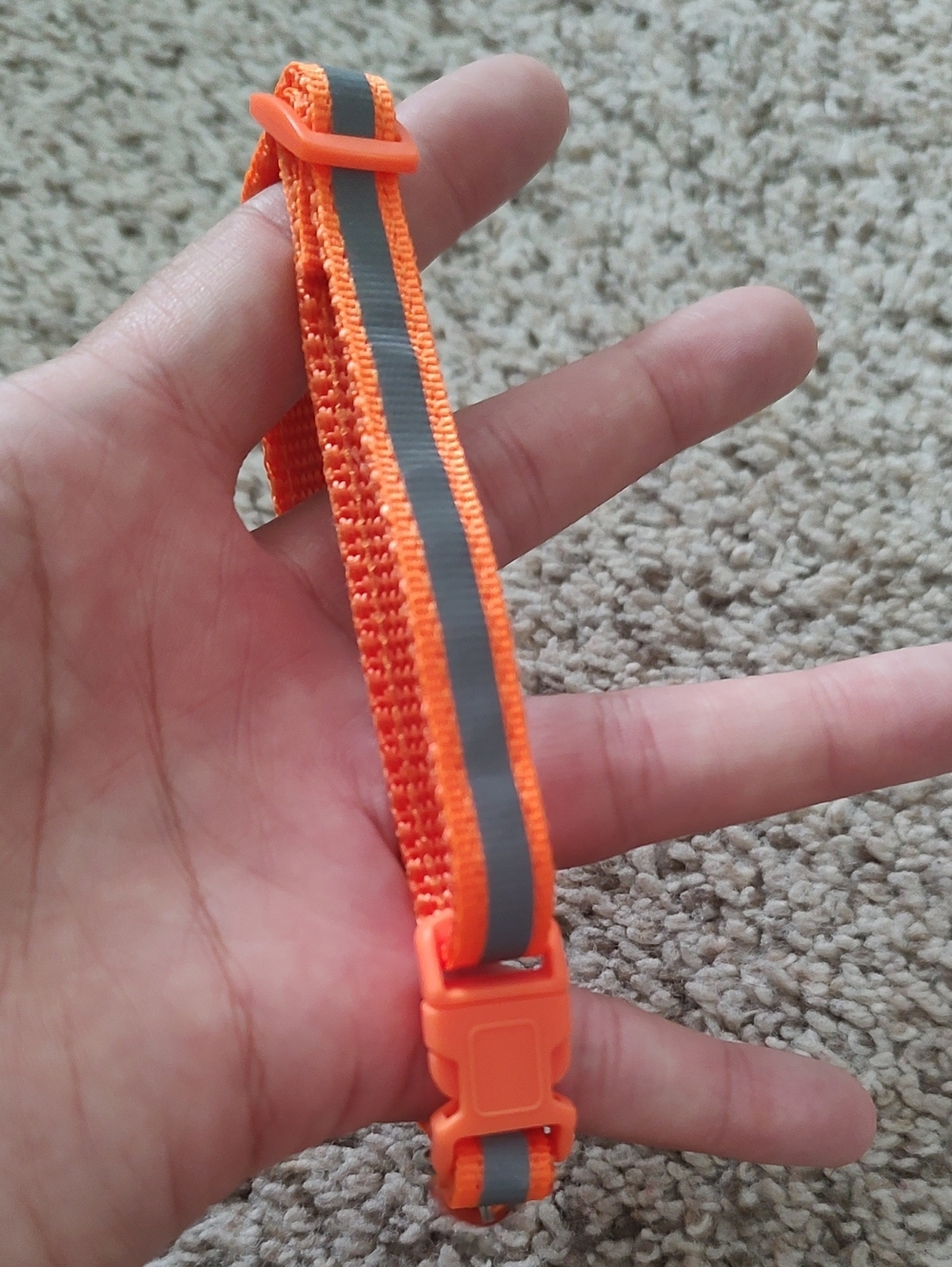 (8) Reflective Cat Collars - Picture 7 of 10